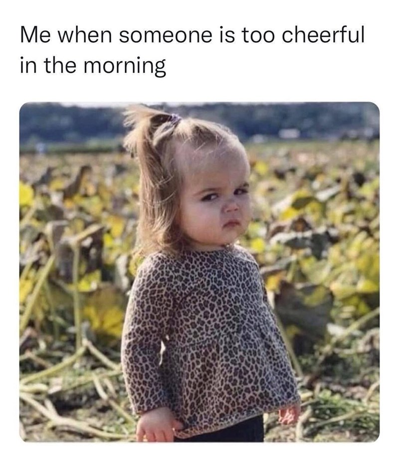 Me when someone is too cheerful in the morning