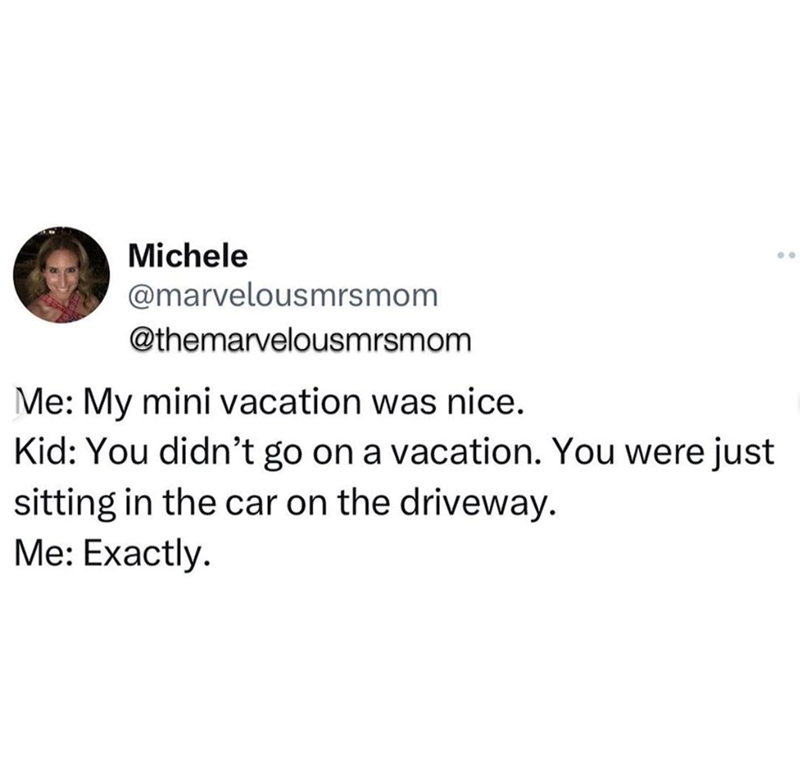 Michele @marvelousmrsmom @themarvelousmrsmom Me: My mini vacation was nice. Kid: You didn't go on a vacation. You were just sitting in the car on the driveway. Me: Exactly. 00