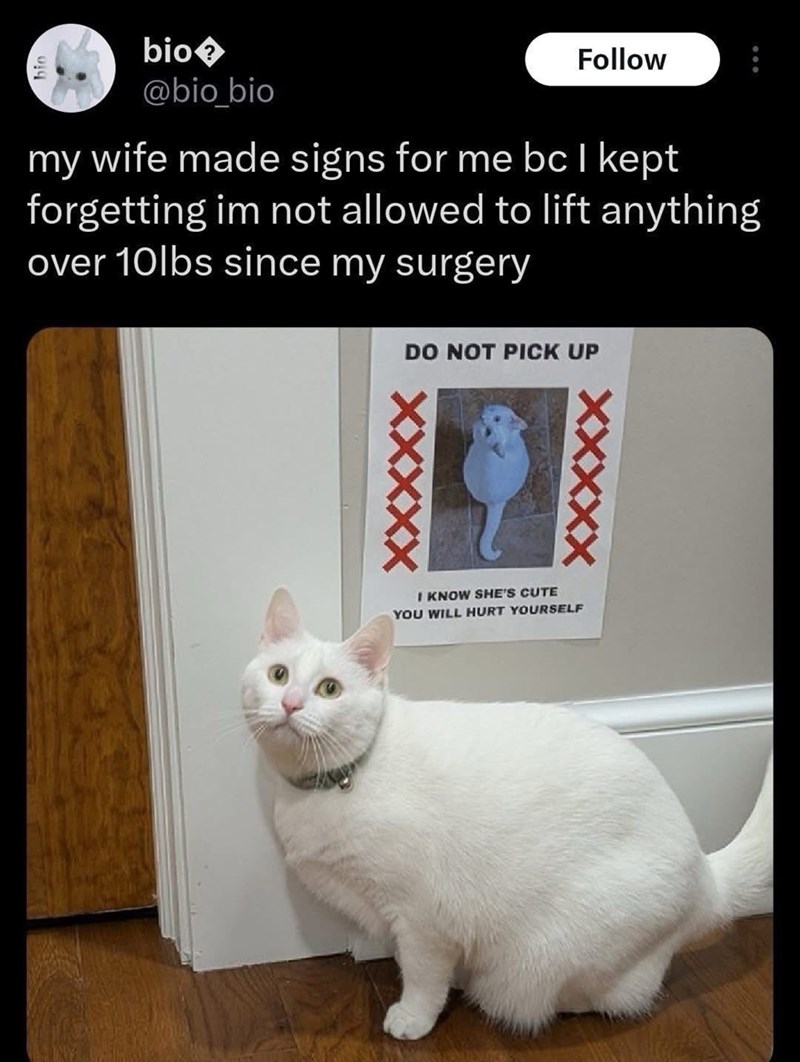 bio� @bio_bio Follow my wife made signs for me bc I kept forgetting im not allowed to lift anything over 10lbs since my surgery DO NOT PICK UP XXXXX I KNOW SHE'S CUTE YOU WILL HURT YOURSELF