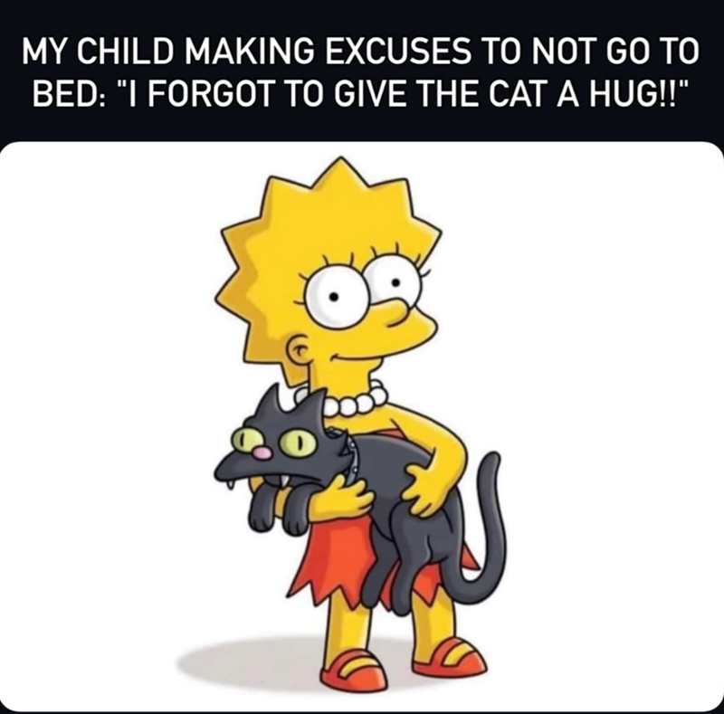 MY CHILD MAKING EXCUSES TO NOT GO TO BED: "I FORGOT TO GIVE THE CAT A HUG!!"