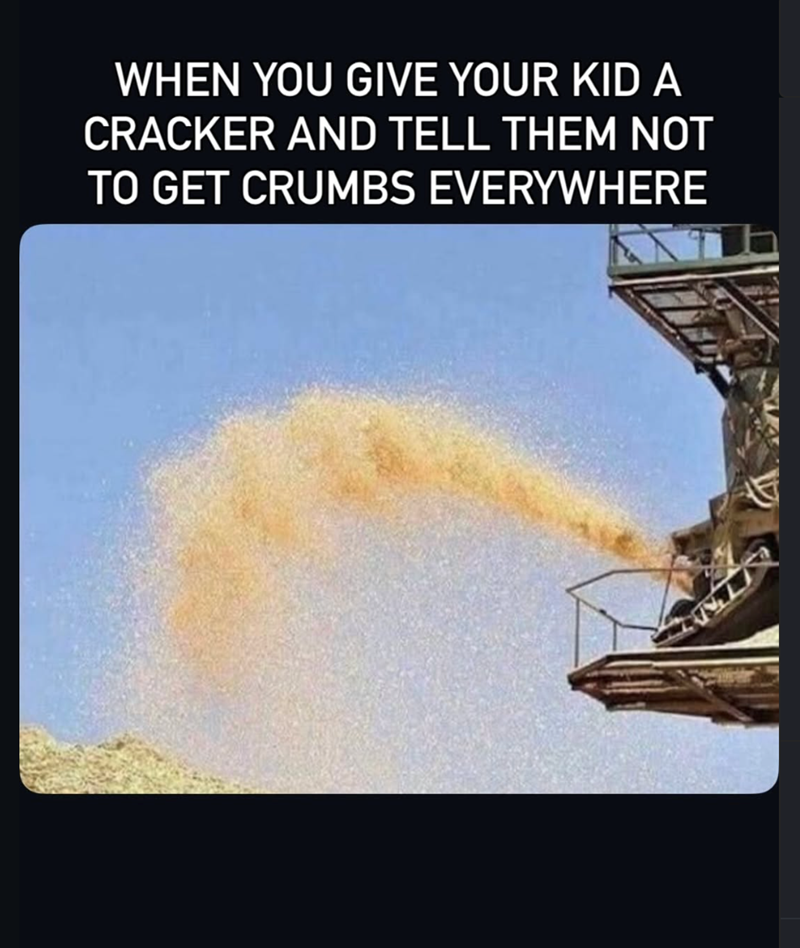 WHEN YOU GIVE YOUR KID A CRACKER AND TELL THEM NOT TO GET CRUMBS EVERYWHERE