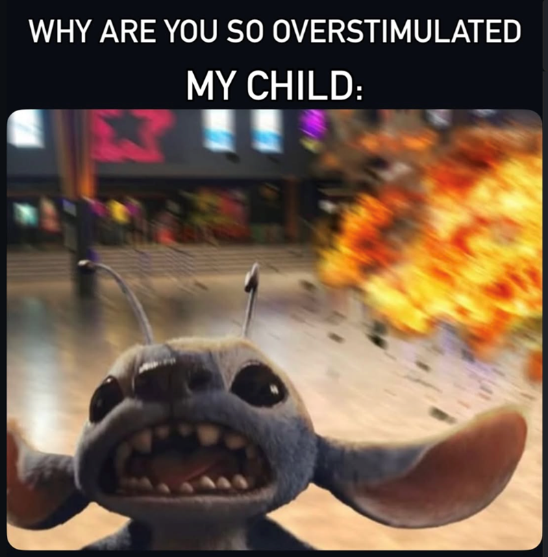 WHY ARE YOU SO OVERSTIMULATED MY CHILD: