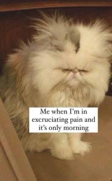 Me when I'm in excruciating pain and it's only morning