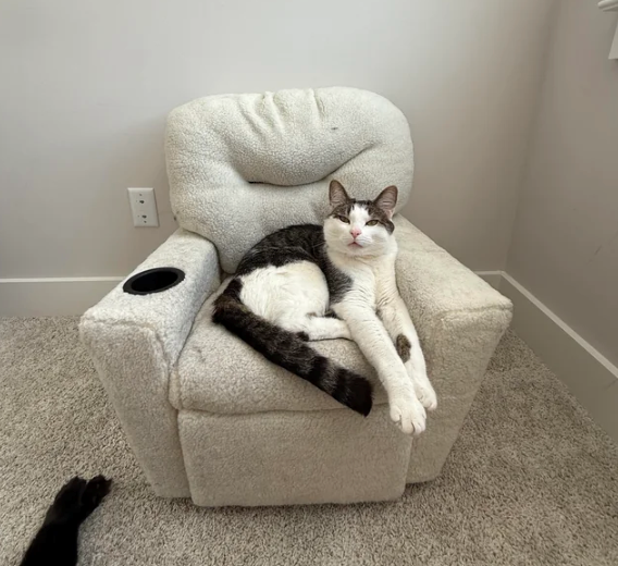 Cheezburger Image 10610505216