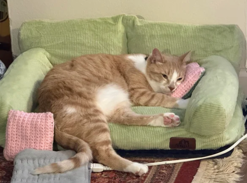 Cheezburger Image 10610507520