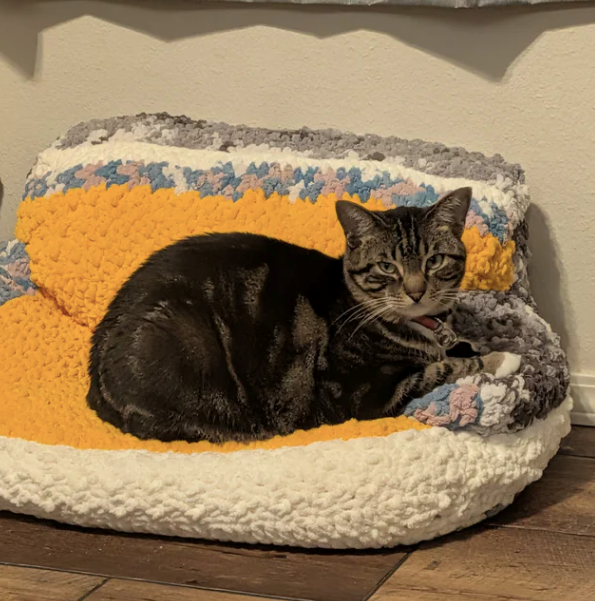 Cheezburger Image 10610508800