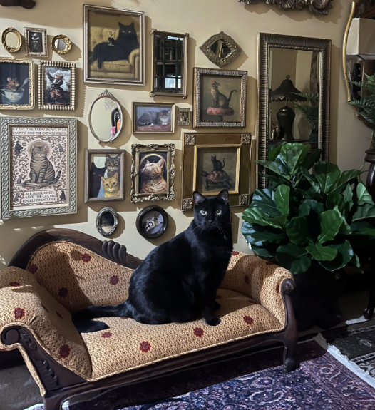 EMPTY, AND ALL MALL KNGL БЕЛЬЕ THE CAL ELS FOR NO ONE