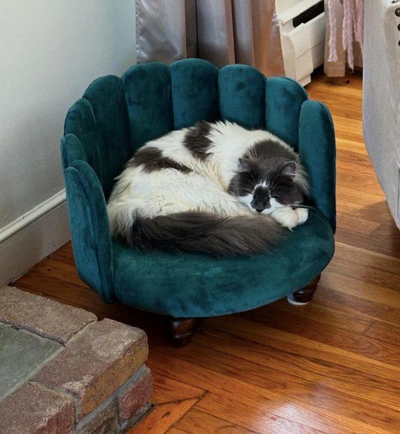 Cheezburger Image 10610509568