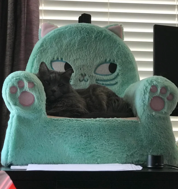 Cheezburger Image 10610509824