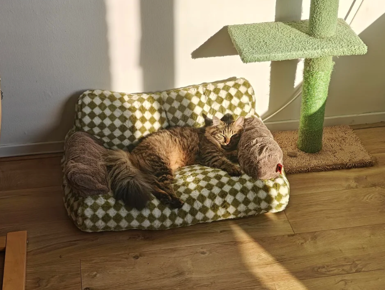 Cheezburger Image 10610510592