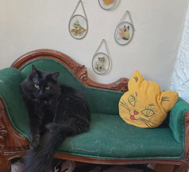 Cheezburger Image 10610511360