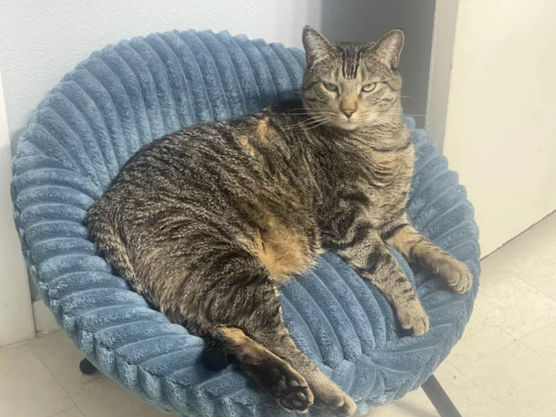 Cheezburger Image 10610511616