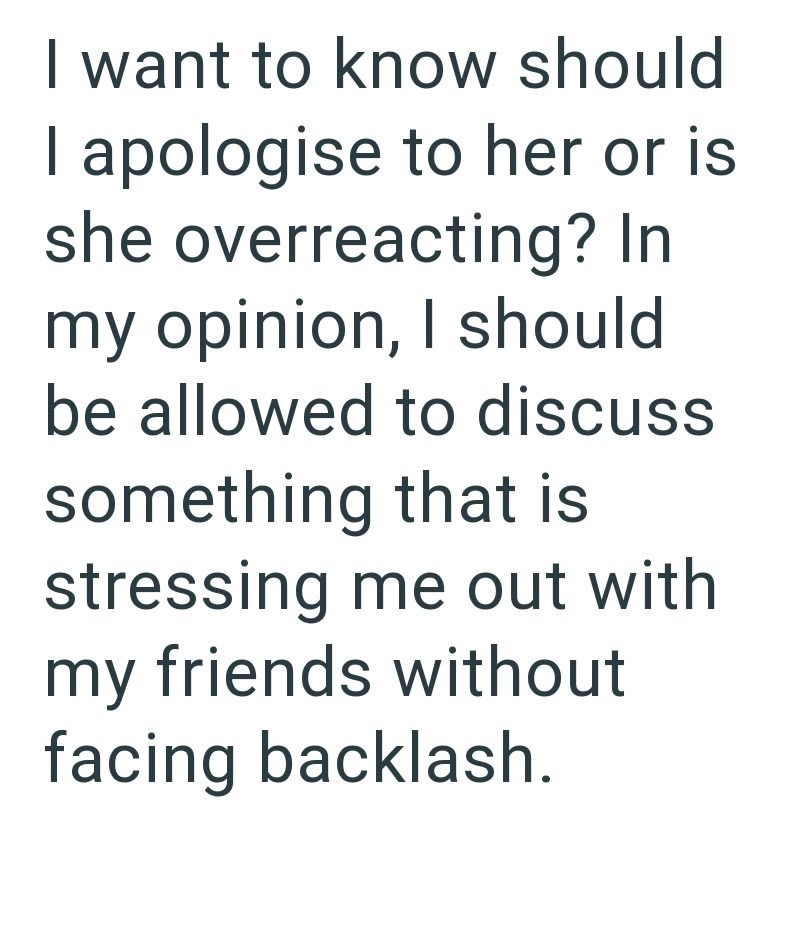 I want to know should I apologise to her or is she overreacting? In my opinion, I should be allowed to discuss something that is stressing me out with my friends without facing backlash.