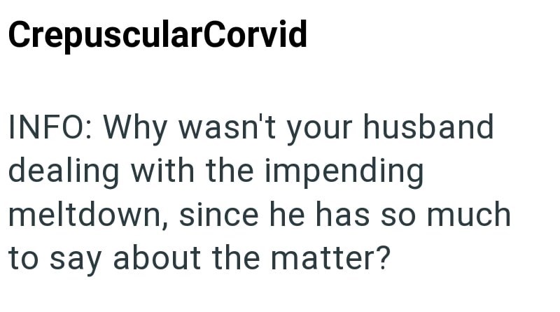 CrepuscularCorvid INFO: Why wasn't your husband dealing with the impending meltdown, since he has so much to say about the matter?