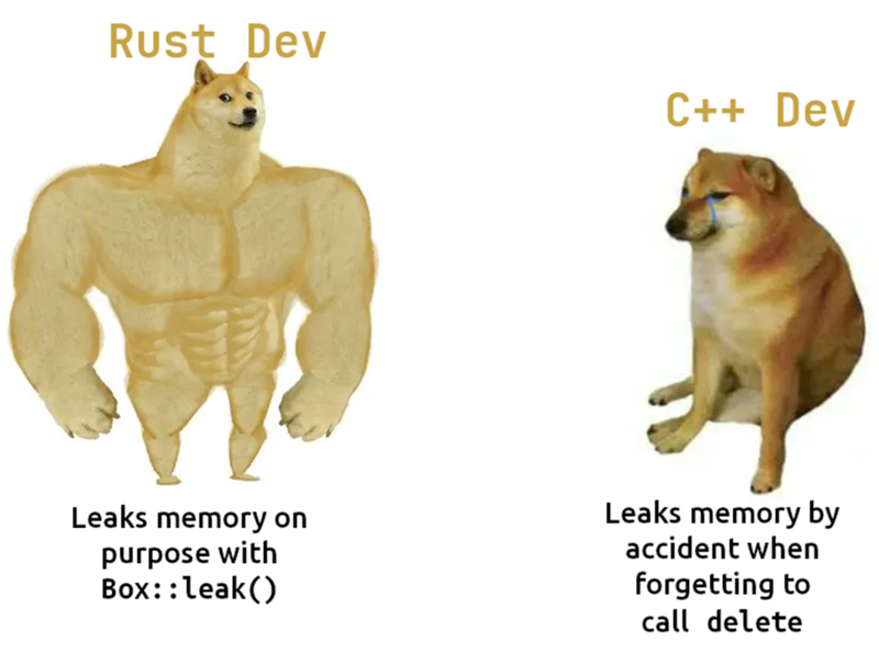 Rust Dev C++ Dev Leaks memory on purpose with Box:: leak() Leaks memory by accident when forgetting to call delete