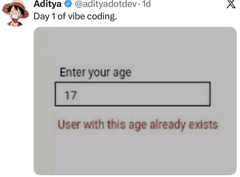 Aditya @adityadotdev. 1d Day 1 of vibe coding. Enter your age 17 User with this age already exists