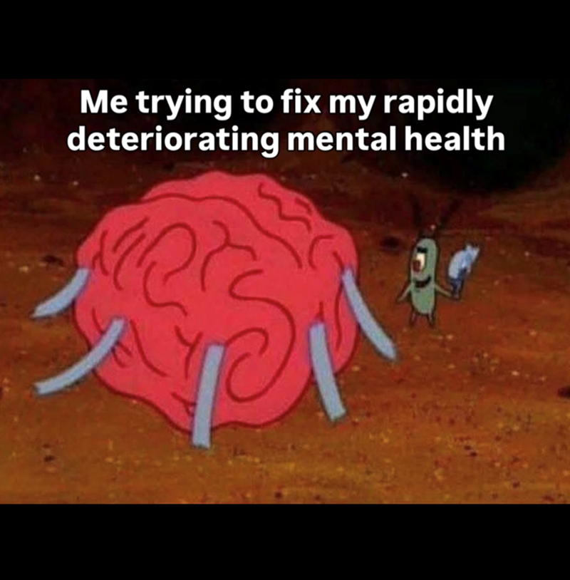 Me trying to fix my rapidly deteriorating mental health