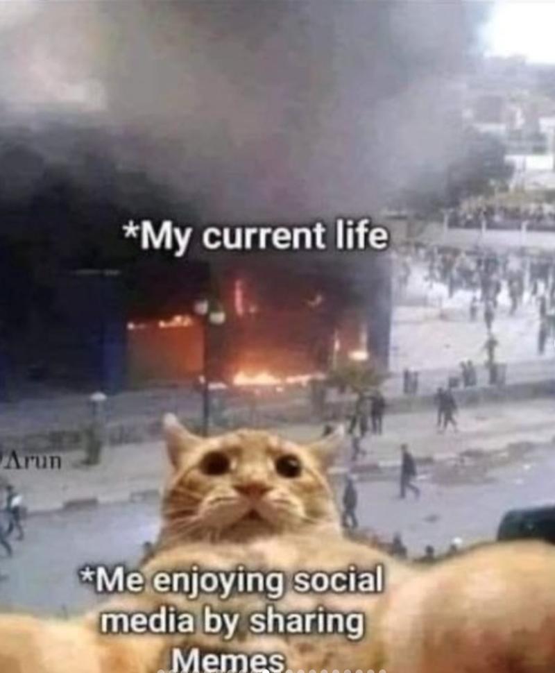 Arun *My current life *Me enjoying social media by sharing Memes