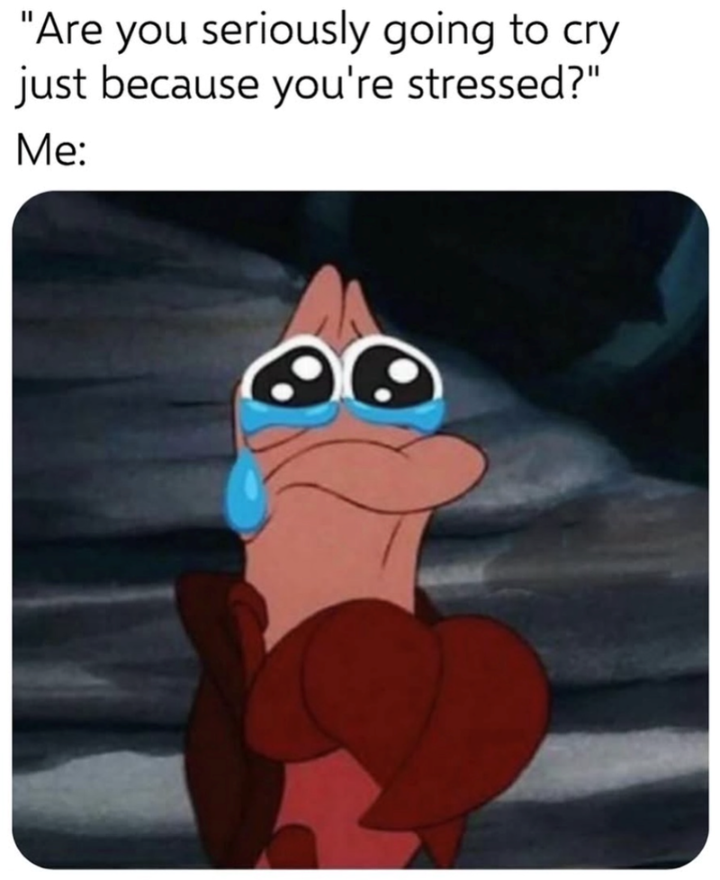 "Are you seriously going to cry just because you're stressed?" Me: