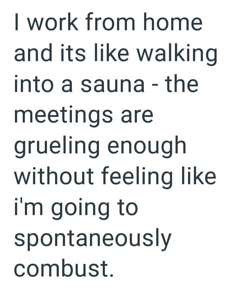 I work from home and its like walking into a sauna - the meetings are grueling enough without feeling like i'm going to spontaneously combust.