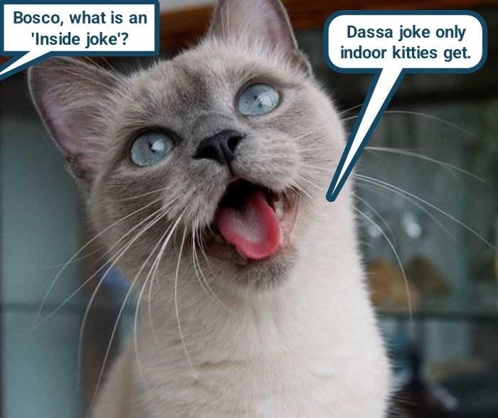 Cheezburger Image 10610592000