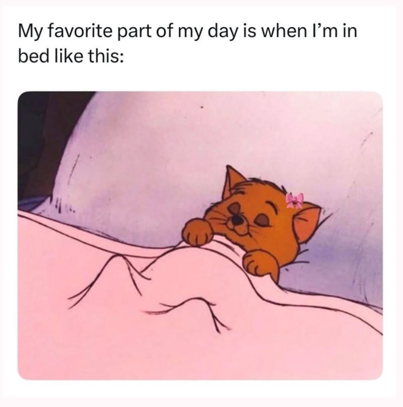 My favorite part of my day is when I'm in bed like this: