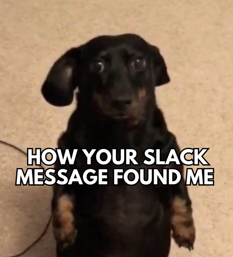 HOW YOUR SLACK MESSAGE FOUND ME