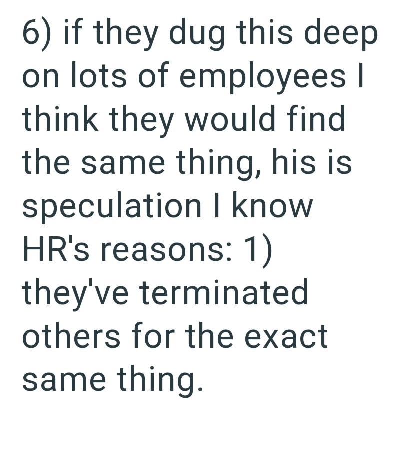 6) if they dug this deep on lots of employees I think they would find the same thing, his is speculation I know HR's reasons: 1) they've terminated others for the exact same thing.