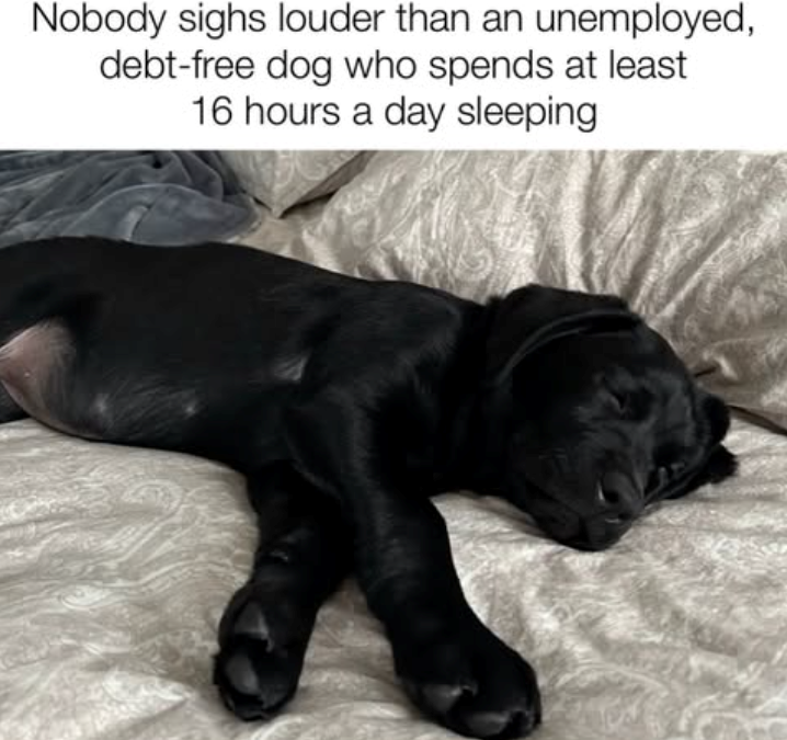 Nobody sighs louder than an unemployed, debt-free dog who spends at least 16 hours a day sleeping