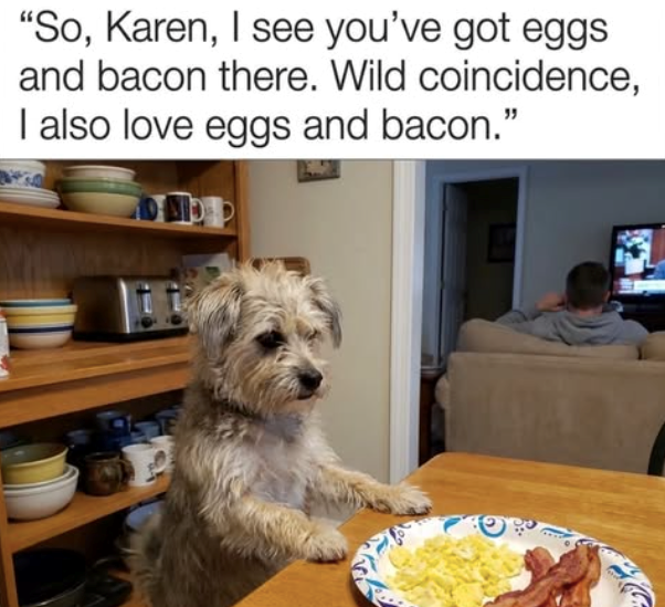 "So, Karen, I see you've got eggs and bacon there. Wild coincidence, I also love eggs and bacon."