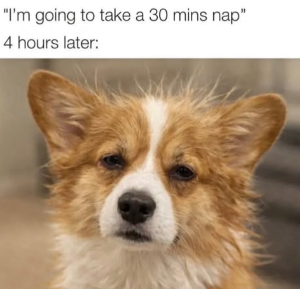 "I'm going to take a 30 mins nap" 4 hours later: