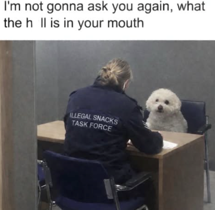 I'm not gonna ask you again, what the h Il is in your mouth ILLEGAL SNACKS TASK FORCE