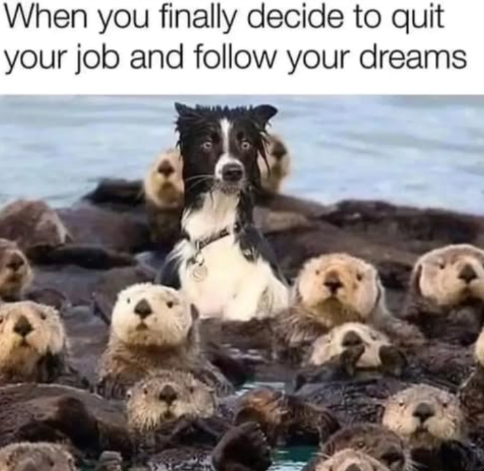 When you finally decide to quit your job and follow your dreams.