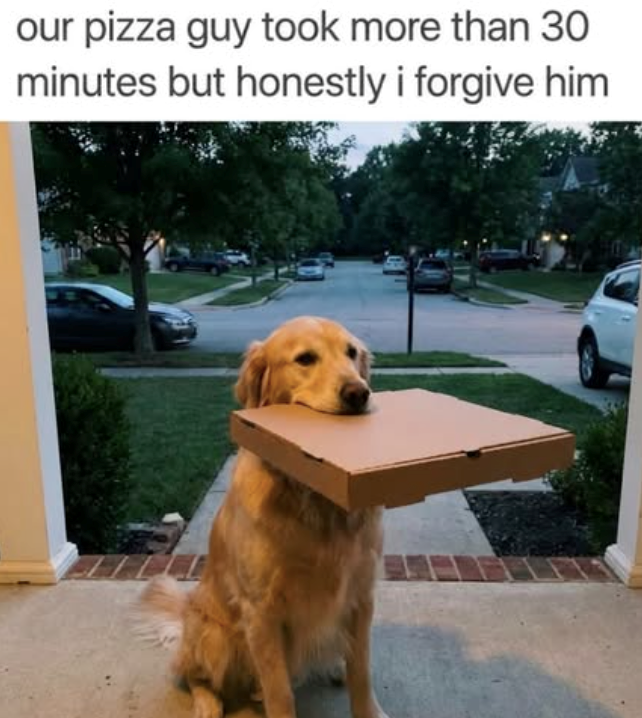 our pizza guy took more than 30 minutes but honestly i forgive him