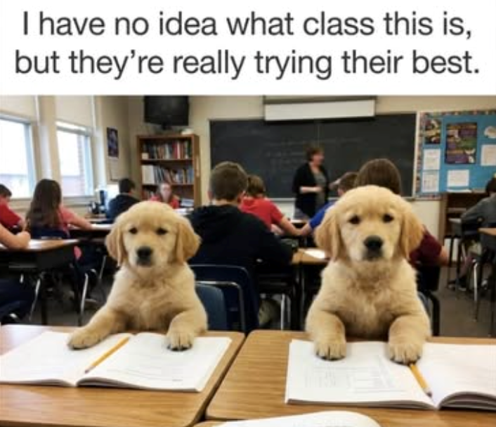 I have no idea what class this is, but they're really trying their best.