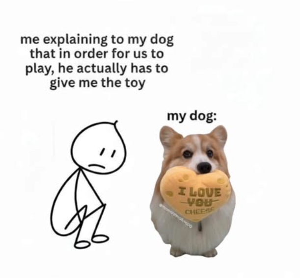 me explaining to my dog that in order for us to play, he actually has to give me the toy my dog: I LOVE YOU CHEESE