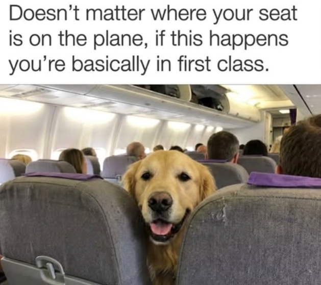 Doesn't matter where your seat is on the plane, if this happens you're basically in first class.
