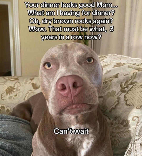 Your dinner looks good Mom... What am I having for dinner? Oh, dry brown rocks again? Wow. That must be what, 3 years in a row now? Can't wait