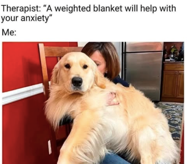 Therapist: "A weighted blanket will help with your anxiety" Me:
