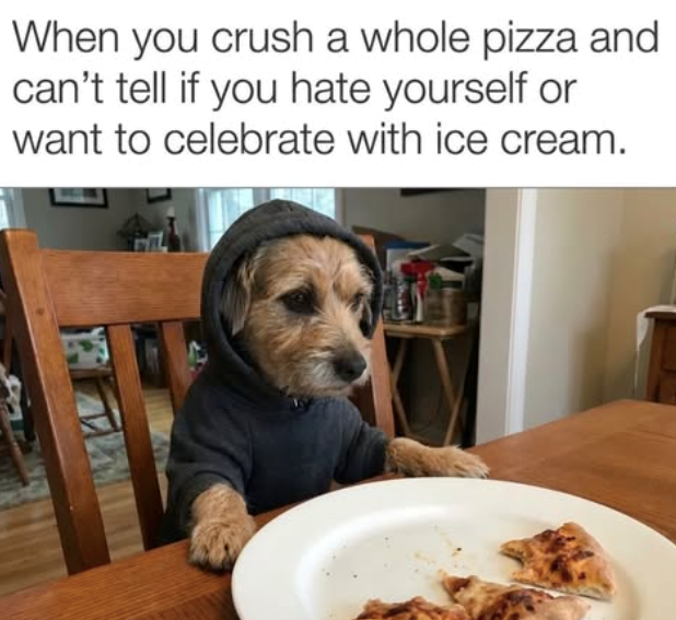 When you crush a whole pizza and can't tell if you hate yourself or want to celebrate with ice cream.