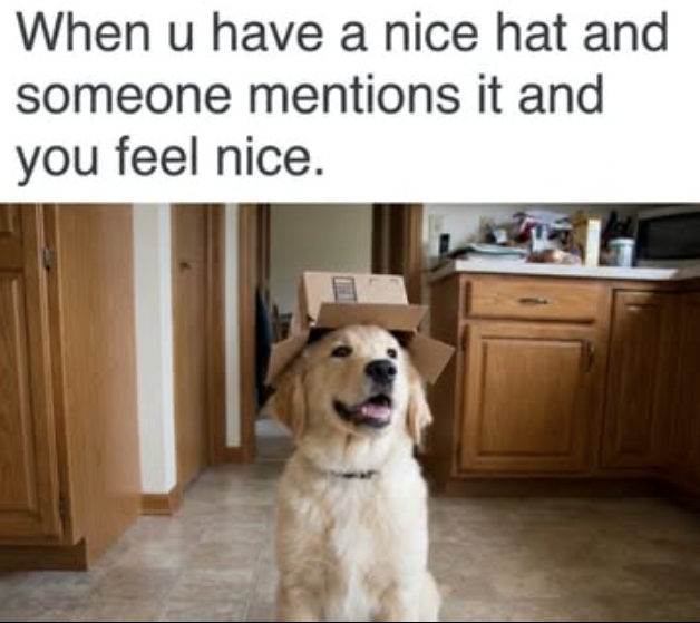 When u have a nice hat and someone mentions it and you feel nice.