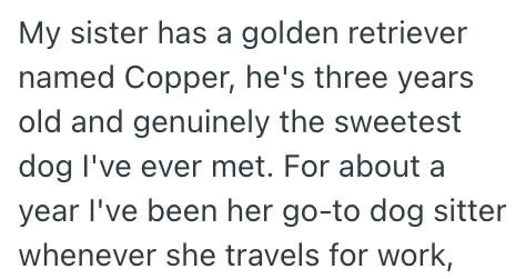 My sister has a golden retriever named Copper, he's three years old and genuinely the sweetest dog I've ever met. For about a year I've been her go-to dog sitter whenever she travels for work,