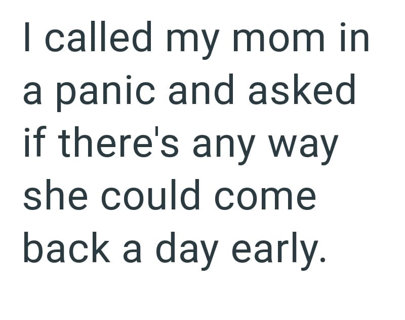 I called my mom in a panic and asked if there's any way she could come back a day early.