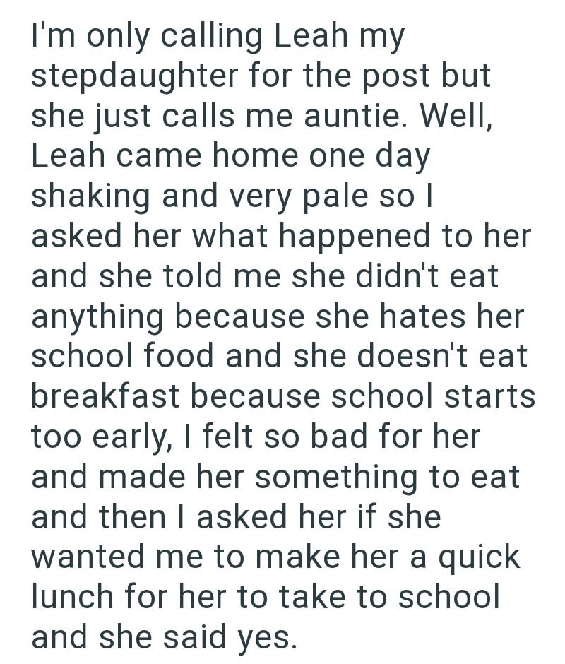 I'm only calling Leah my stepdaughter for the post but she just calls me auntie. Well, Leah came home one day shaking and very pale so I asked her what happened to her and she told me she didn't eat anything because she hates her school food and she doesn't eat breakfast because school starts too early, I felt so bad for her and made her something to eat and then I asked her if she wanted me to make her a quick lunch for her to take to school and she said yes.