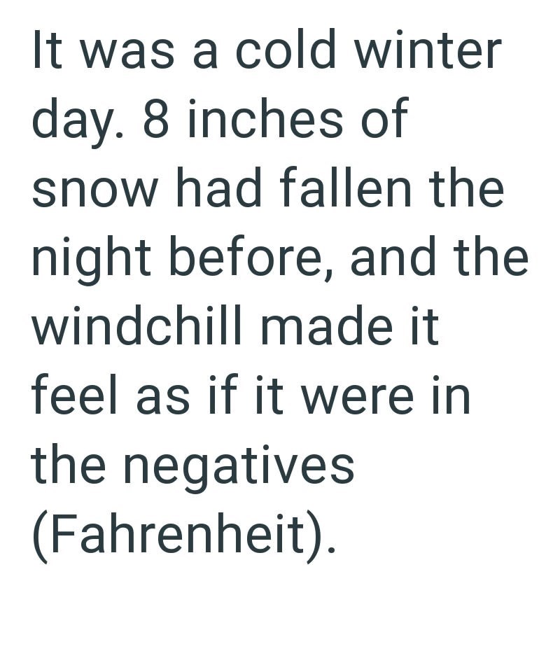 It was a cold winter day. 8 inches of snow had fallen the night before, and the windchill made it feel as if it were in the negatives (Fahrenheit).
