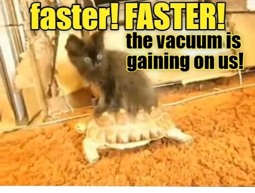 Cheezburger Image 10610696704