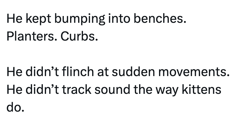 He kept bumping into benches. Planters. Curbs. He didn't flinch at sudden movements. He didn't track sound the way kittens do.