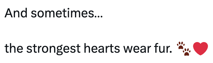And sometimes... the strongest hearts wear fur.