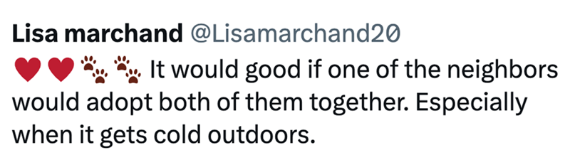 Lisa marchand @Lisamarchand20 It would good if one of the neighbors would adopt both of them together. Especially when it gets cold outdoors.