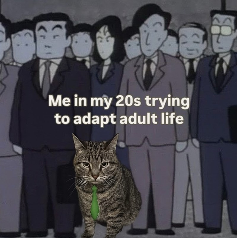 Me in my 20s trying to adapt adult life